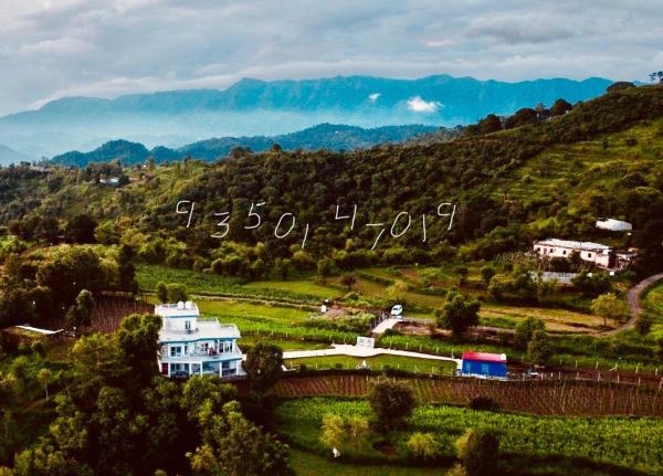 A la foto es mostra l'objecte Mayur Home Stay, Morni Hills situat a la ciutat de Morni.