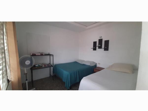 Casa D'Andrea 3, Flores