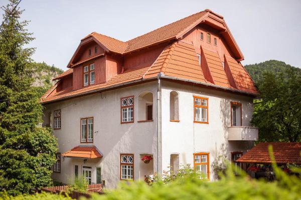 照片显示了位于Băile Tuşnad市的Pensiunea Ritz物件。