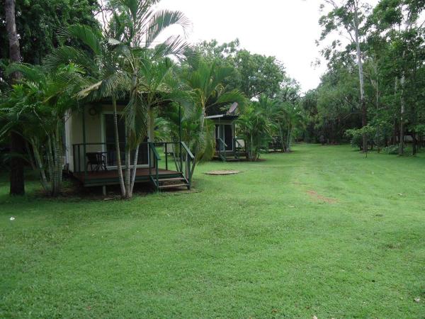 Pandanus On Litchfield - Northern Territory