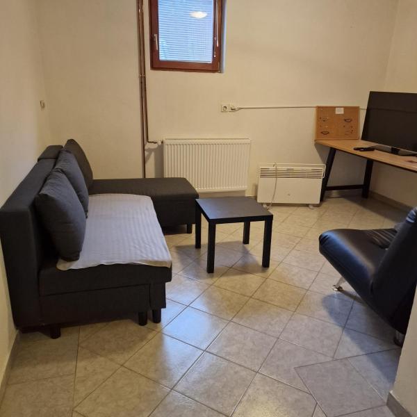 Bilde 3: Spacious & Cozy Countryside Apartment
