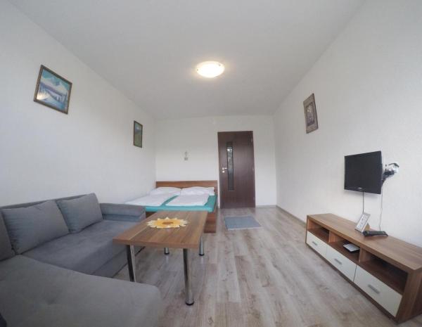 A la foto es mostra l'objecte Apartment Igor situat a la ciutat de Kalameny.