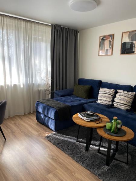 Deluxe-studiolejlighed — 36 m² - Forest Studio
