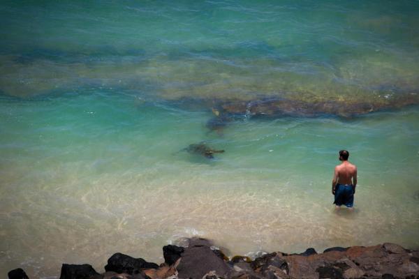 Na zdjęciu widoczny jest obiekt Yonegan Central Maui Getaways położony w mieście Wailuku.