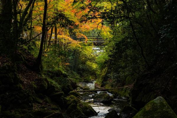 くらま温泉的照片5