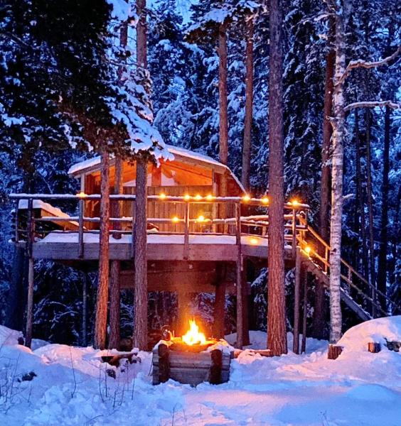写真にはYtterhogdal市にあるHaven Islands Treehouse on a private islandが写っています。