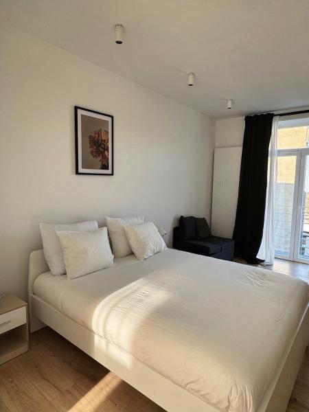 På bildet vises objektet Bora Apartment som ligger i byen Brussel.