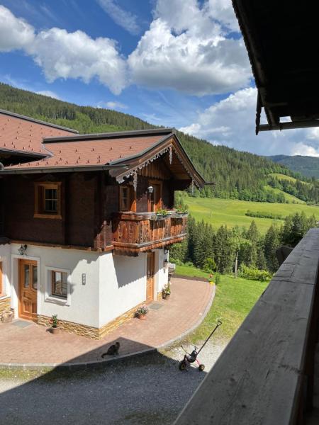 Bauernhütte Niedermaisgut - Flachau
