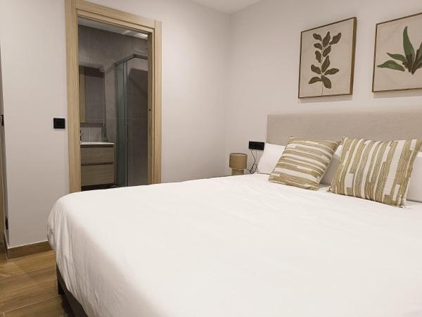Na fotografii je vidět objekt Totalmente reformado Apartamento Eskurtze Bilbao nacházející se ve městě Bilbao.