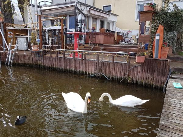 Na fotografii je vidět objekt Wohnung im Haus am See von Berlin nacházející se ve městě Zeuthen.