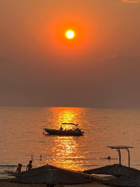 Nella foto è visibile l'oggetto DORA'S HOUSE Douneika situato nella città di Amaliada.