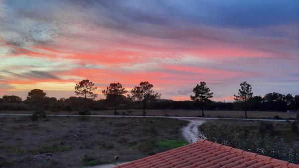 Photo 1 : Sunset flat in Malhadais
