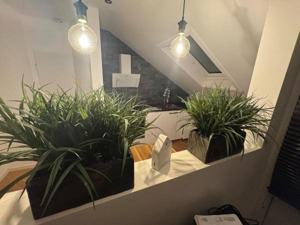 A la foto es mostra l'objecte Apartment inklusiver großer Terrasse situat a la ciutat de Andernach.