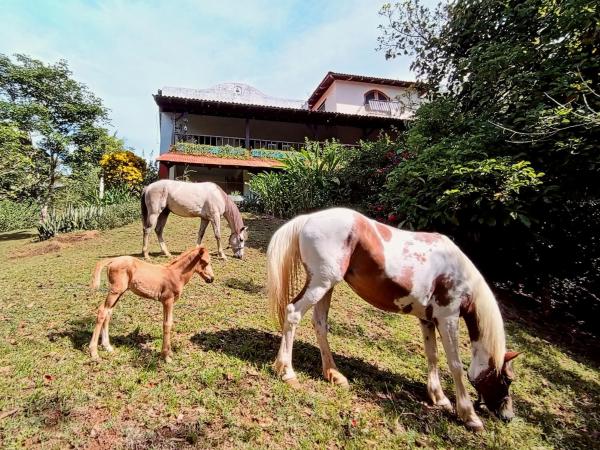 Casabravaventura Jungle Ecofarm - Panama