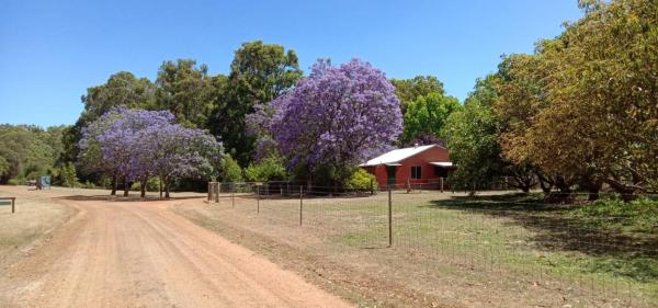 The photo shows the Stargazers Forest Hideaway located in the city of Peerabeelup.