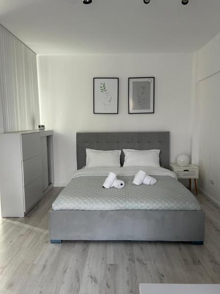 A la foto es mostra l'objecte Best Value Studio Primavara, Free Parking situat a la ciutat de Bucarest.