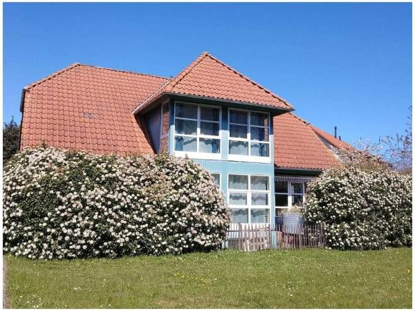 1-bedroom Apartment - Putgarten