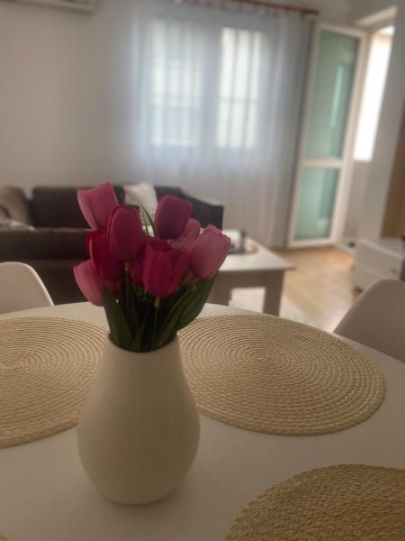 Foto 5: Apartman Sofija