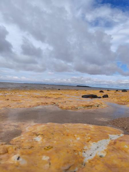Na fotografii je vidět objekt Luz de Maria Ilha de cotijuba praia do seringal nacházející se ve městě Belém.
