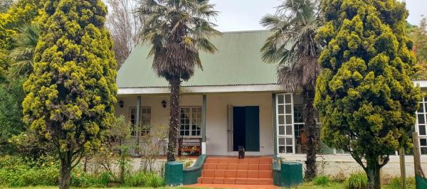 På bildet vises objektet The Dutch House som ligger i byen Tonteldoos.