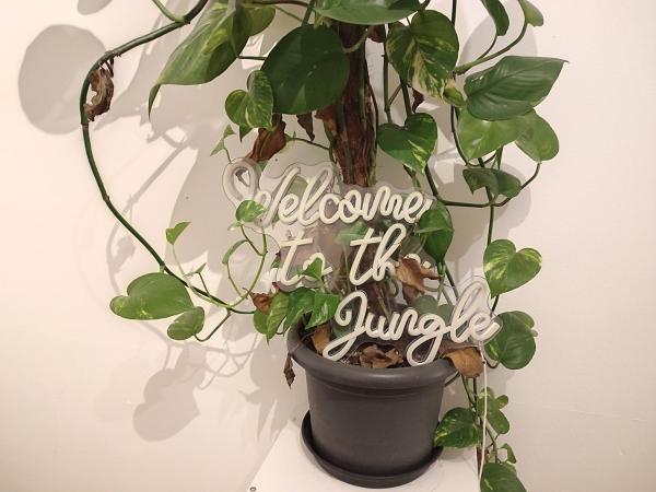 A la foto es mostra l'objecte Jungle in Kelkheim for 4 Persons 24 h check in situat a la ciutat de Kelkheim.