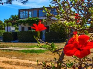 A la foto es mostra l'objecte Casa Relax Acqua Marina situat a la ciutat de Favignana.