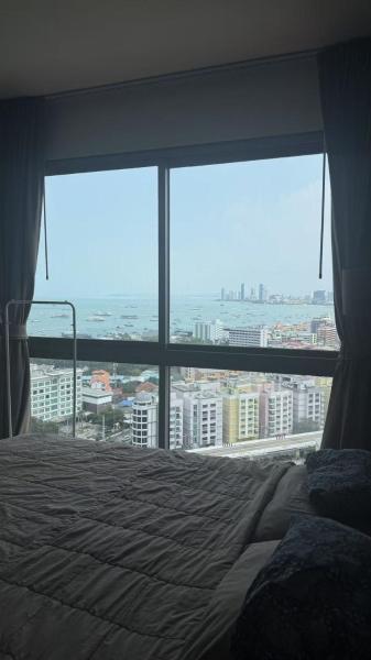 Apartamento com 1 Quarto — 29 m² - 芭提雅水系公寓楼
