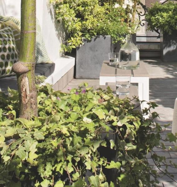 Belle chambre avec accès à une terrasse, París