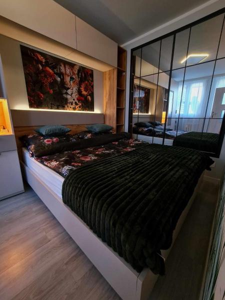 照片显示了位于Legnica市的Apartament Gwiezdna 15物件。