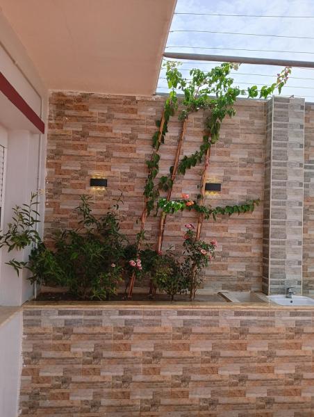 Na zdjęciu widoczny jest obiekt Résidence EL-HANA położony w mieście Tilimsan.