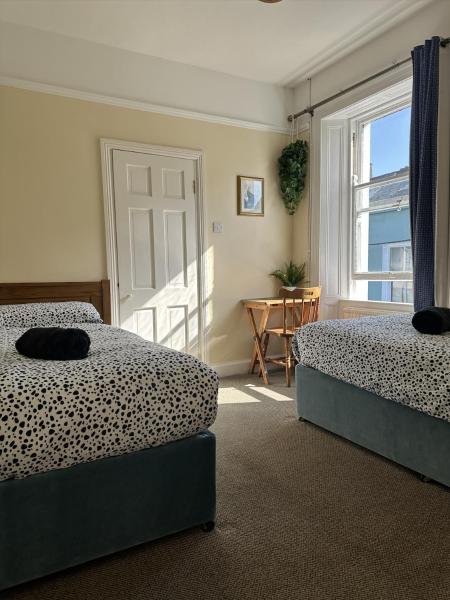 The photo shows the The Grapevine Hostel located in the city of Dingle.