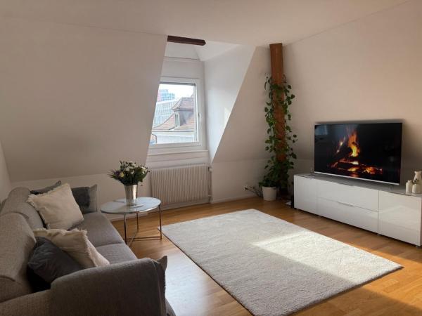Na fotografii je vidět objekt Haus Zum Park - The apartment nacházející se ve městě Wettingen.