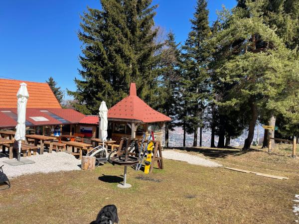 Billede 5: Friendly cottage on hill Pohorje Maribor in nature