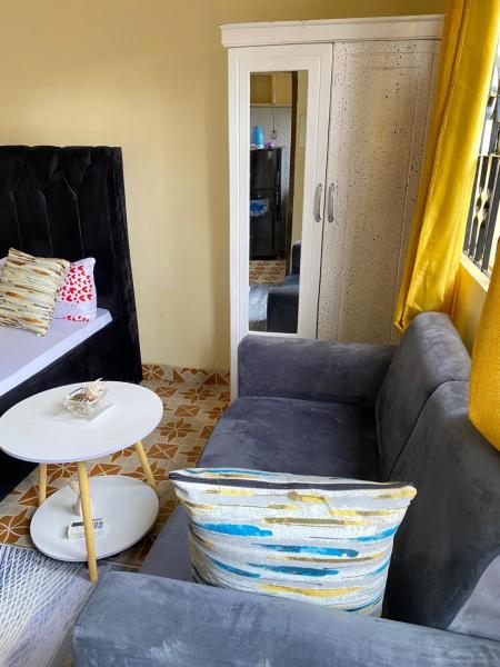 Na fotografii je vidět objekt Comfort studio apartment nacházející se ve městě Arusha.