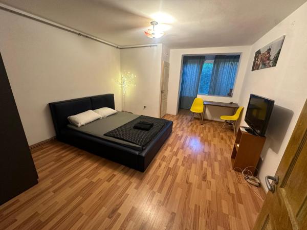 På billedet ses objektet Take Ionescu Center Apartment beliggende i byen Timişoara.
