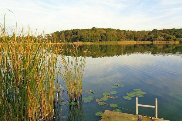 A la foto es mostra l'objecte idyllisches Ferienhäuschen am See situat a la ciutat de Lansen.