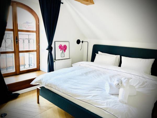 På billedet ses objektet Steyr Old Town Loft - A charming 3 Bedroom Oasis beliggende i byen Steyr.