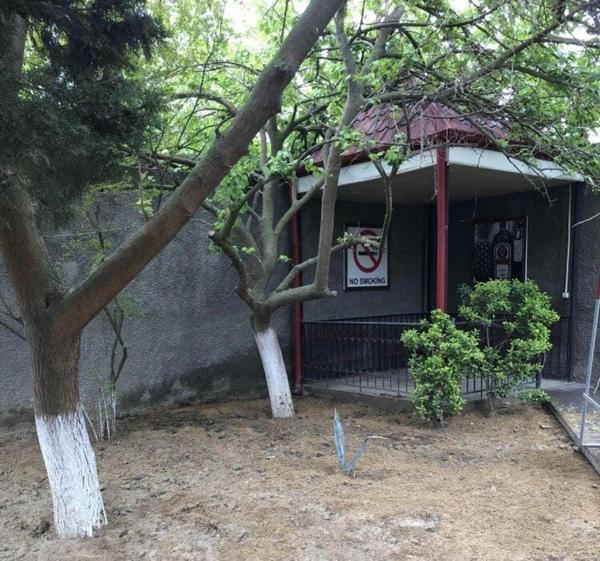 Photo 6 : дом