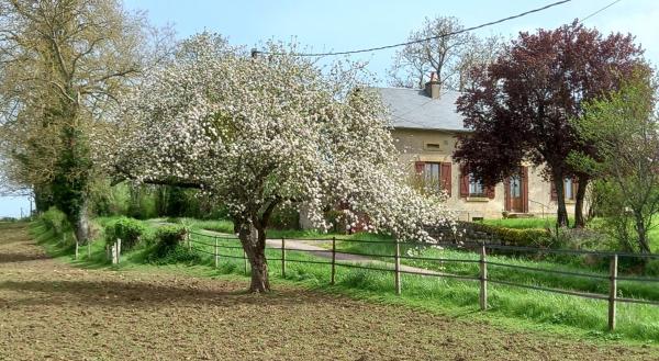 Na zdjęciu widoczny jest obiekt L'Ouche Grillée-Charming renovated countryside cottage-Wifi gratuit położony w mieście Fours.