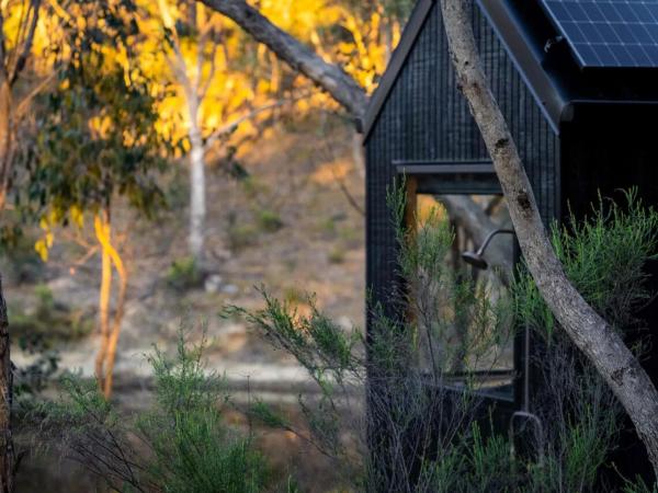 A la foto es mostra l'objecte Secluded off-Grid cabin with water views - Marcel situat a la ciutat de Faraday.
