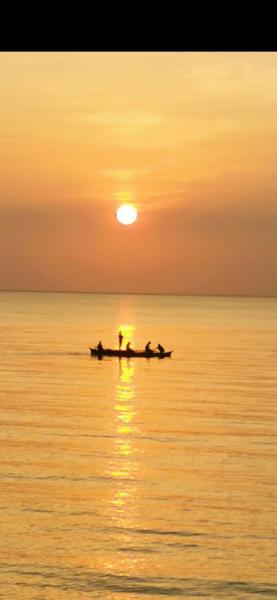 Στη φωτογραφία φαίνεται το αντικείμενο Riclita's Sunset Resthouse Apartments που βρίσκεται στην πόλη San Francisco.