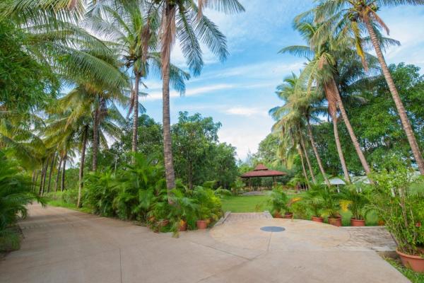 写真にはプネ市にあるPalmwoods Retreatが写っています。