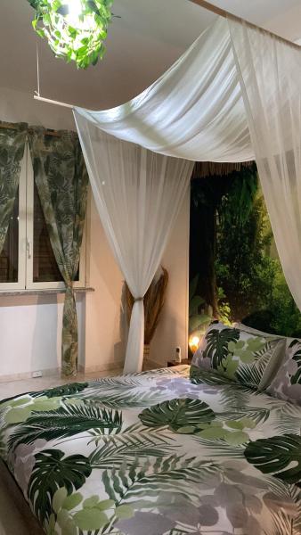 På bildet vises objektet Jungle - house of wellness som ligger i byen Rosolini.