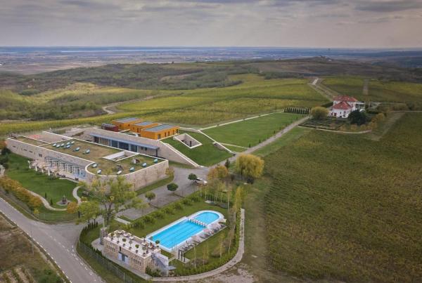 照片显示了位于Oveselu市的Domeniul Vila Dobrusa - Crama AVINCIS物件。