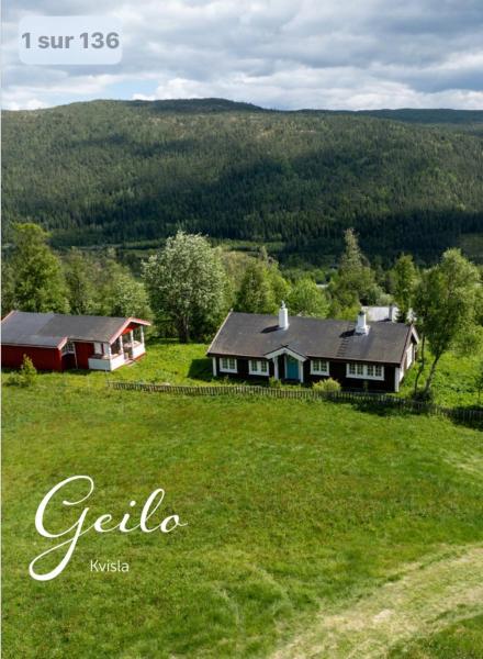 The photo shows the Geilo, two cabins, silence, nature, skiing and summer sports located in the city of Geilo.
