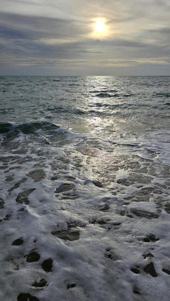 Foto 7: Sunset view studio at 777 Beach Condo