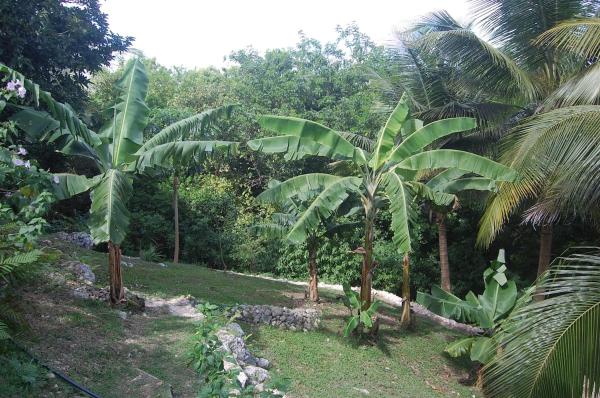 Foto 3: Studio at Le Gosier, close to beaches, and spots