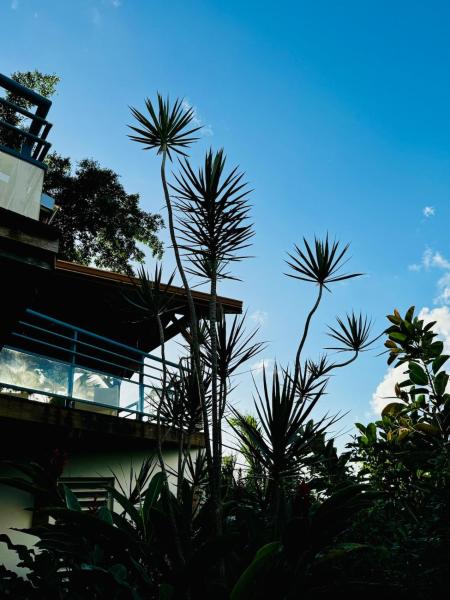 Foto 6: Studio at Le Gosier, close to beaches, and spots
