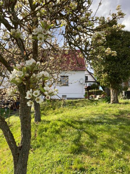 På billedet ses objektet Ferienhaus Thalblick in Ruhla beliggende i byen Ruhla.