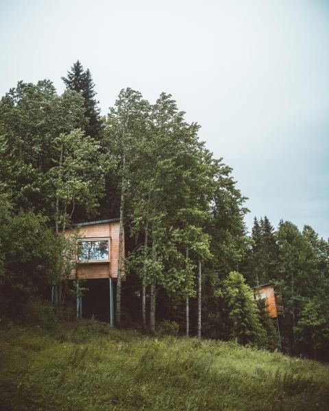 Nella foto è visibile l'oggetto LAUV Tretopphytter situato nella città di Eidsvoll.